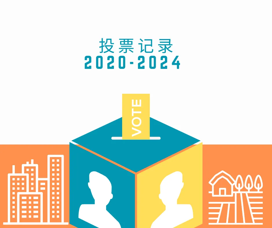 投票记录 2020 - 2024