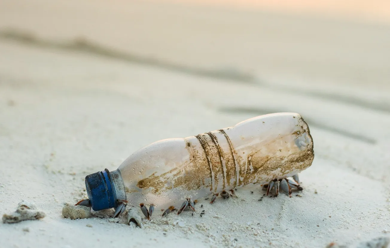 The hunt for sustainable plastic solutions